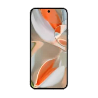 Pixel 9 Pro XL