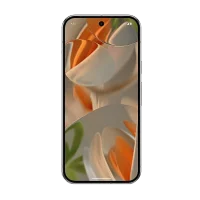 Pixel 9